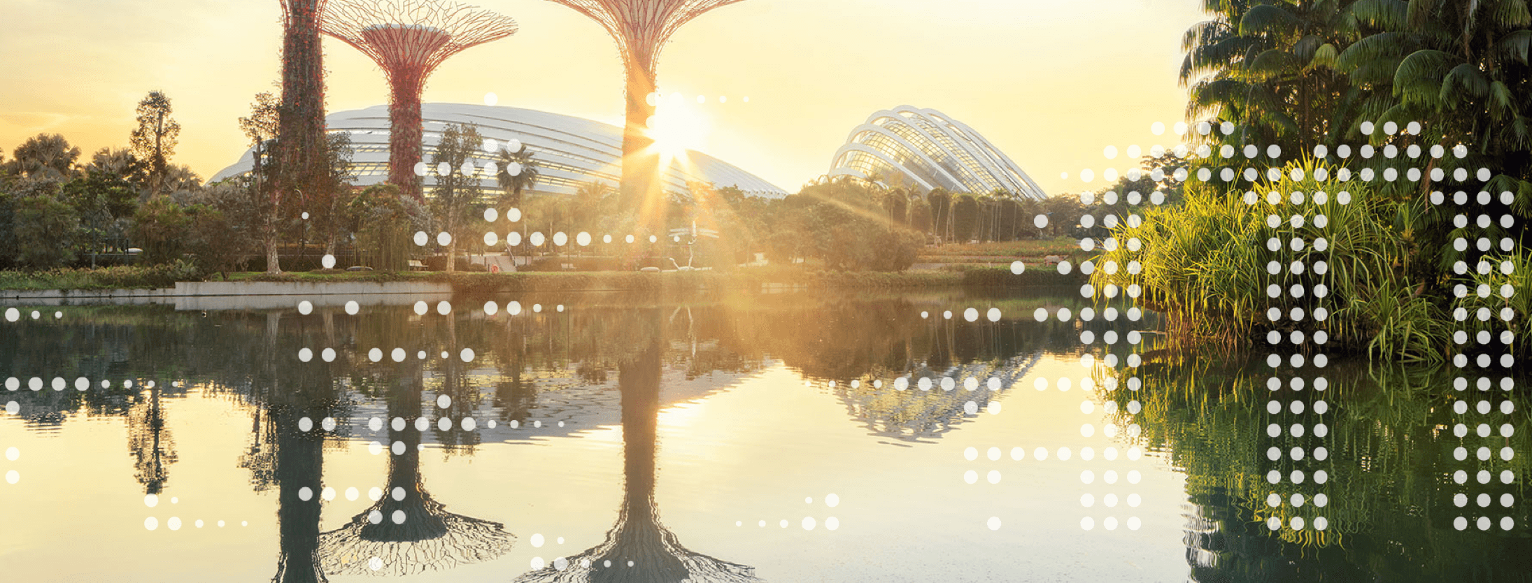 Solar as a Service for multinational industries